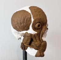 Facial Reconstruction Kit